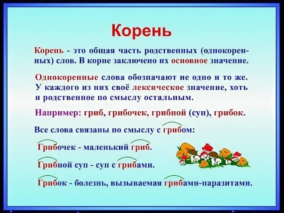 Найти корень в слове прилагательное. Корень слова. Корень однокоренные слова. Корень слова корень. Правило по русскому языку корень слова.