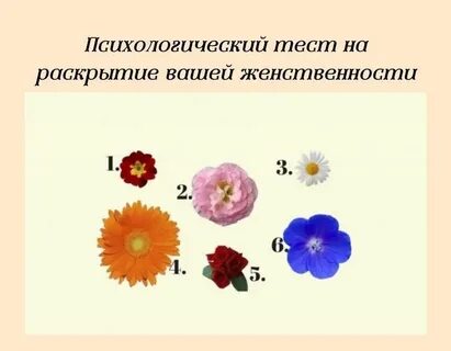 Психологический тест настроение