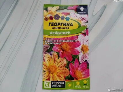 Семена фейерверки