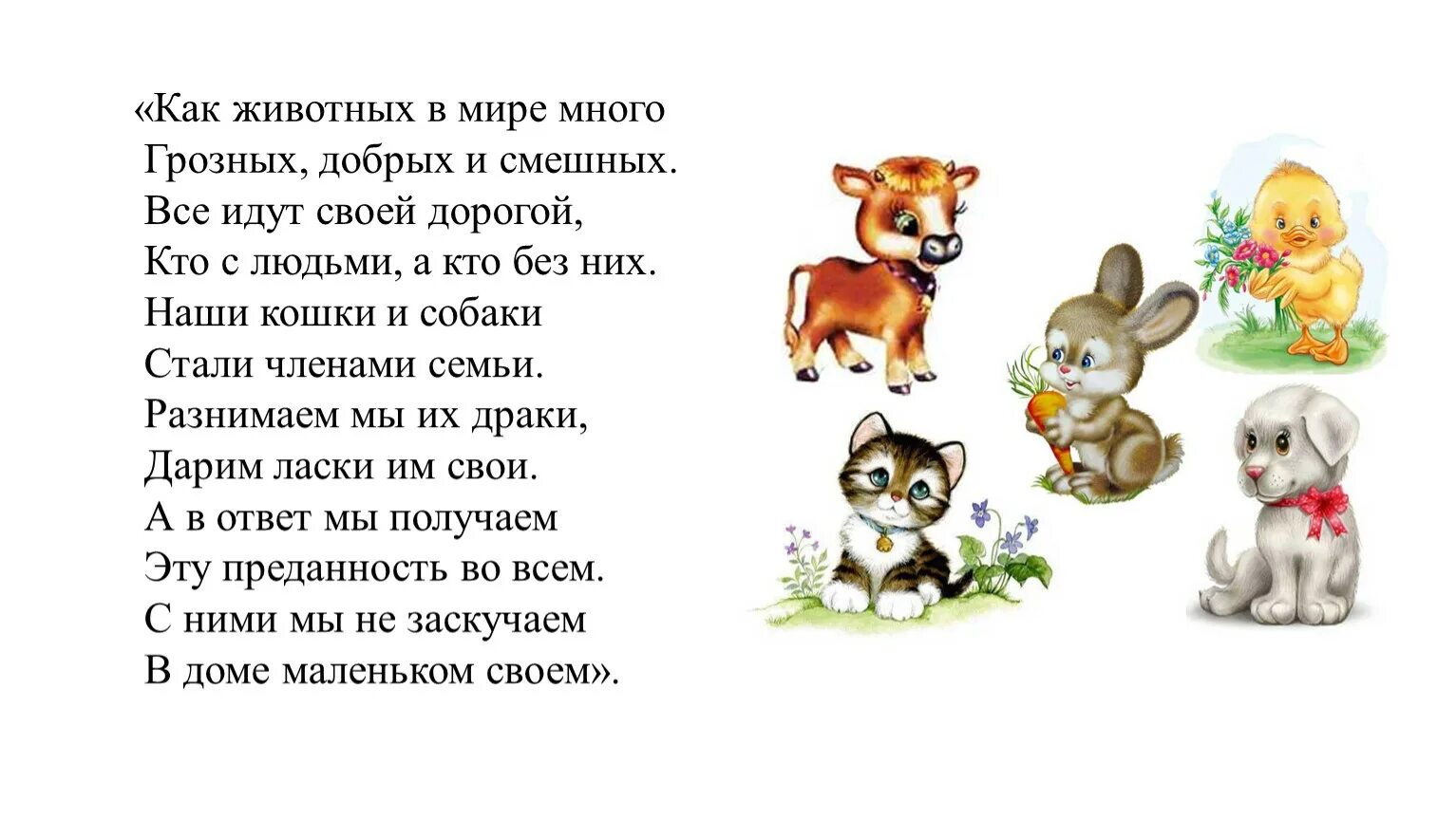 Такие же как звери