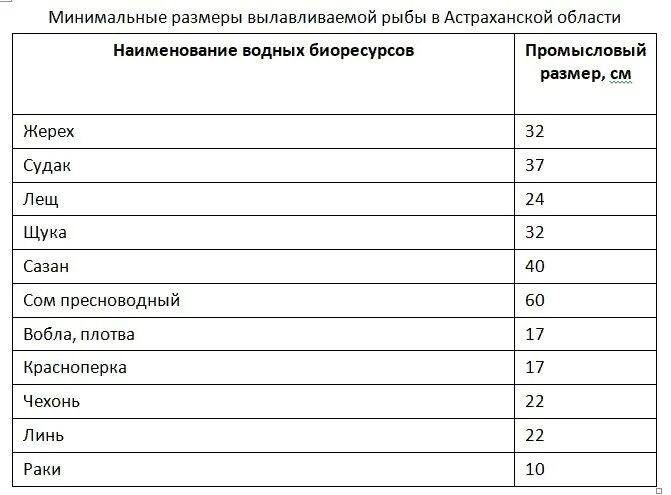 Правила любительского рыболовства в астраханской области. Размеры рыб. Размер рыб в Астраханской области. Минимальные Размеры вылавливаемой рыбы в Астраханской области. Промысловый размер рыбы.