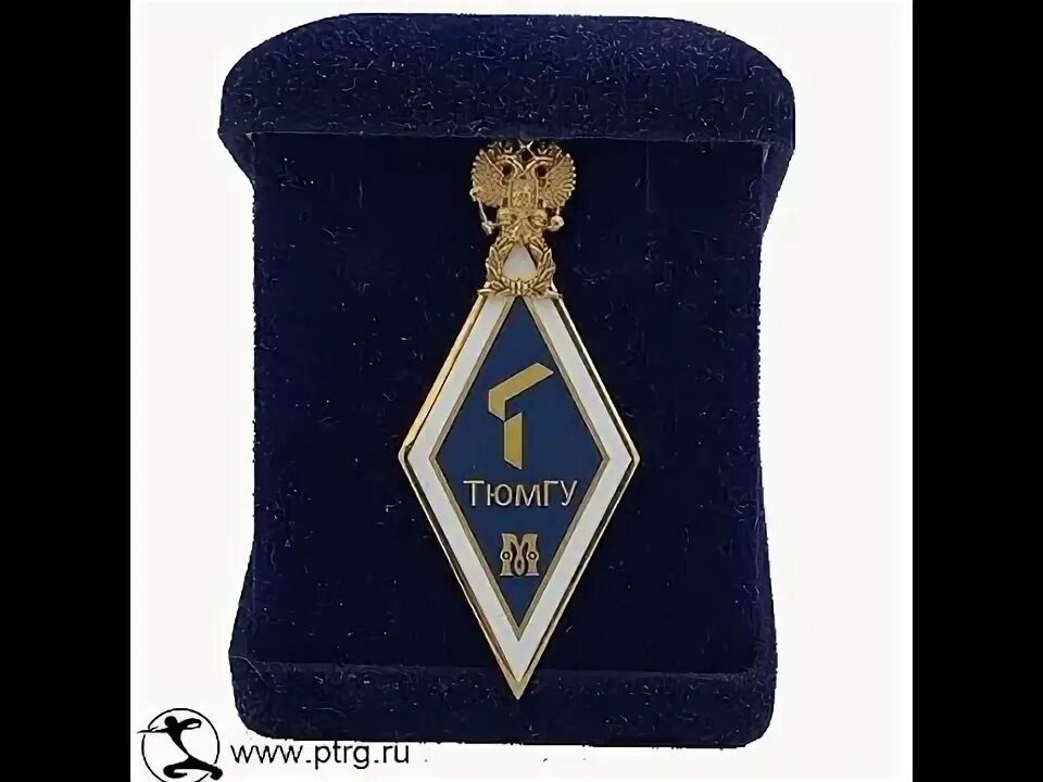 Знак магистр. Нагрудный знак магистра. ВГАВТ нагрудный знак. Знак магистра богословия.