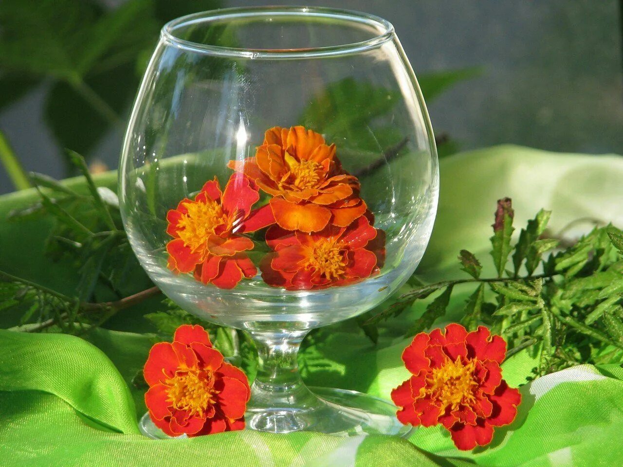 Красивые цветы в бокале. Красивые бокалы. Цветы в прозрачной вазе. Картинки бокал с цветами. Картинки бокал с цветами.