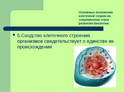 Строение организма вируса
