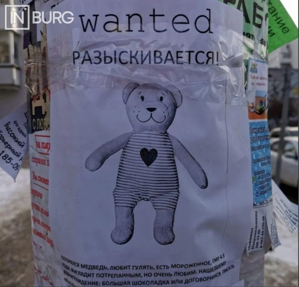Потерялся медведь. Маленький медвежонок плачет. Потеряли медведя. Потерянный медведь. Потерялся медведь.