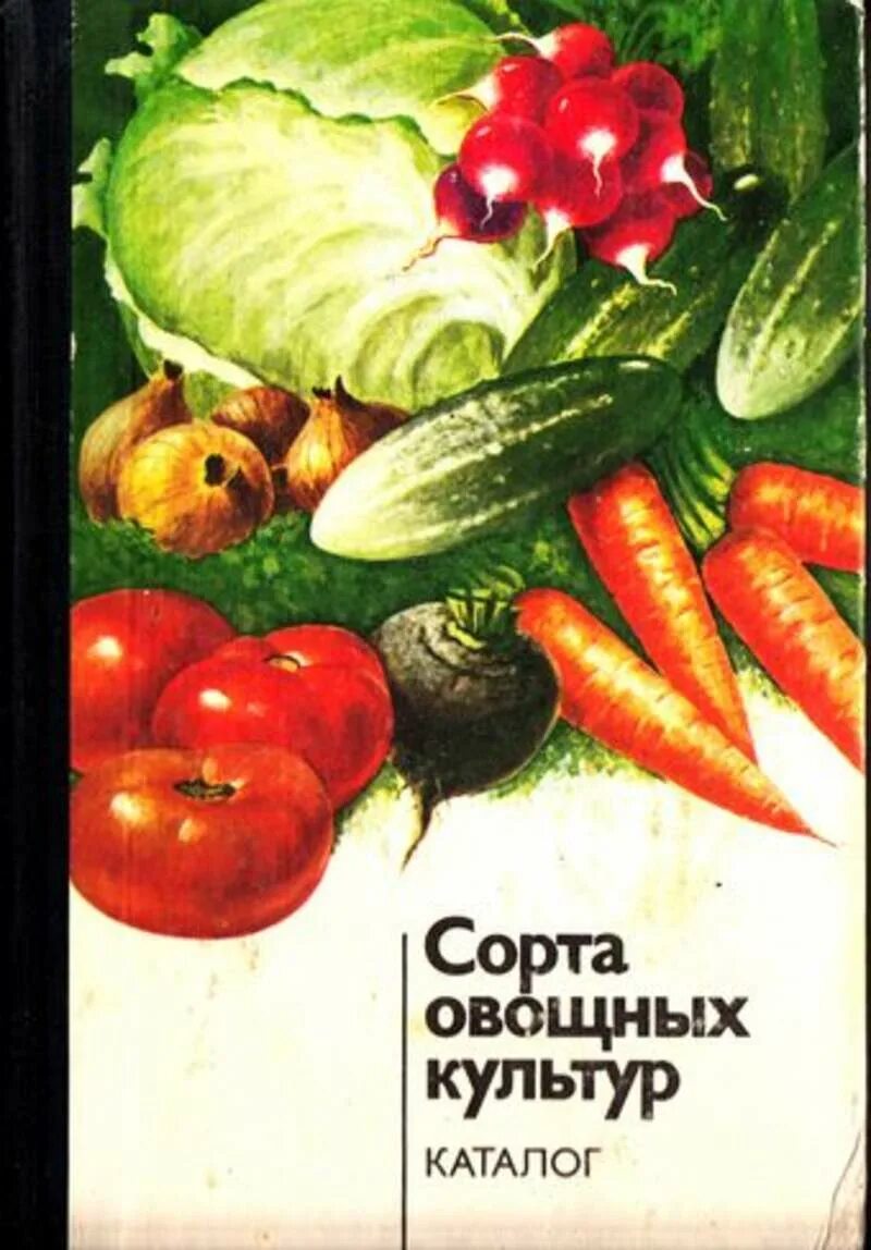 Названия сортов овощей. Сорта овощных культур. сорта овощей. овощные сорта культурных растений. сорта овощных культур ссср.
