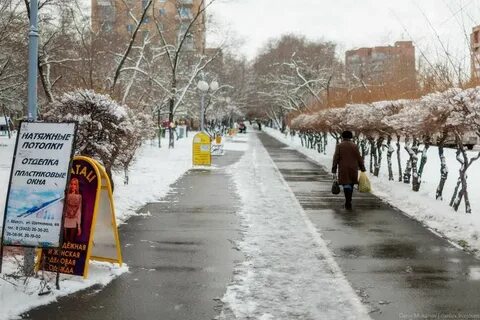 Численность абакана