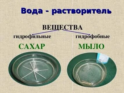 Свойства гидрофильных основ