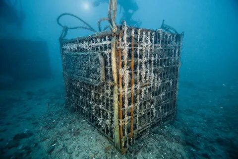 Какое сооружение стоит на дне моря