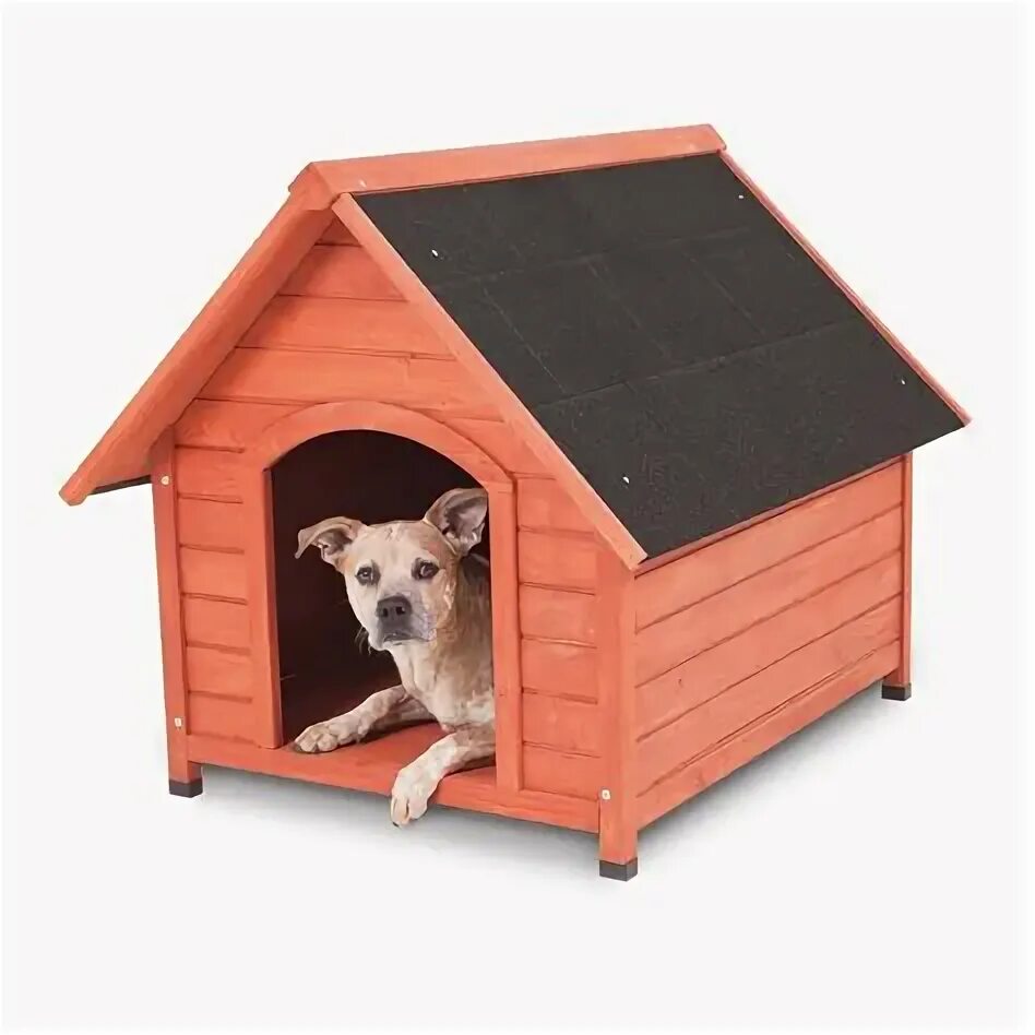 Dog house слот doghouse