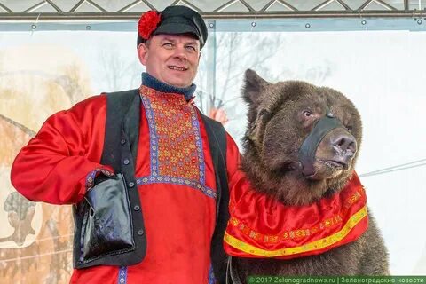 Медведь на масленицу