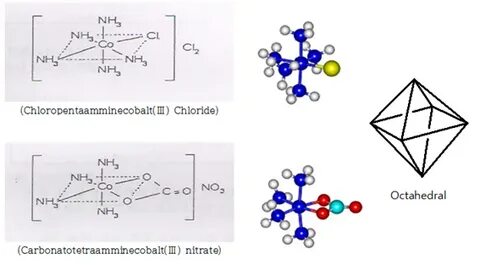 Co nh3 5 cl2