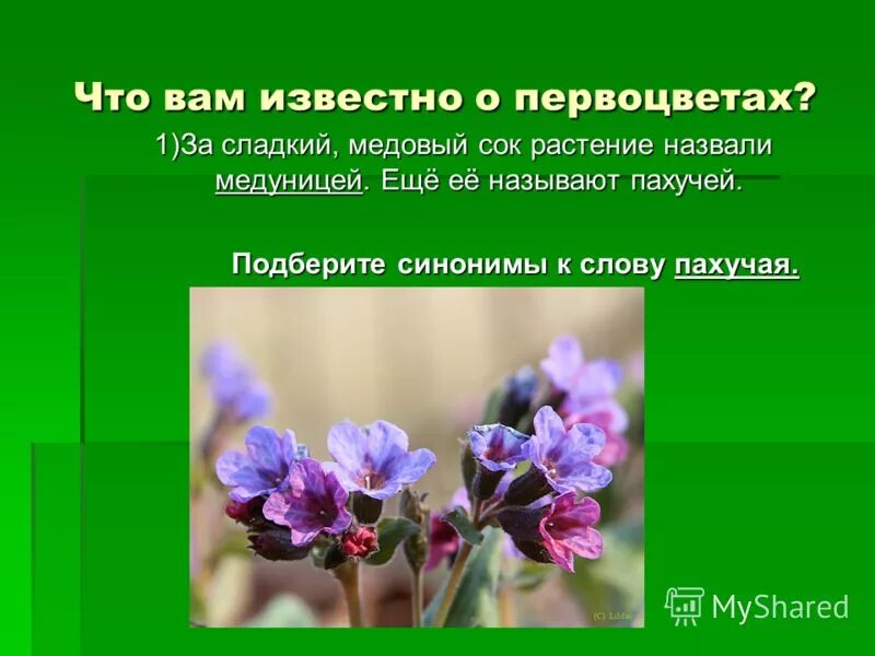 синоним к слову добрый. подобрать синонимы к слову красный. слова синонимы к слову добро. синоним к слову цветов. синоним к слову монастырь.