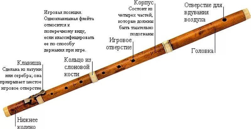 Из чего состоит флейта. Строение поперечной флейты. строение продольной флейты. строение флейты. флейта строение инструмента.