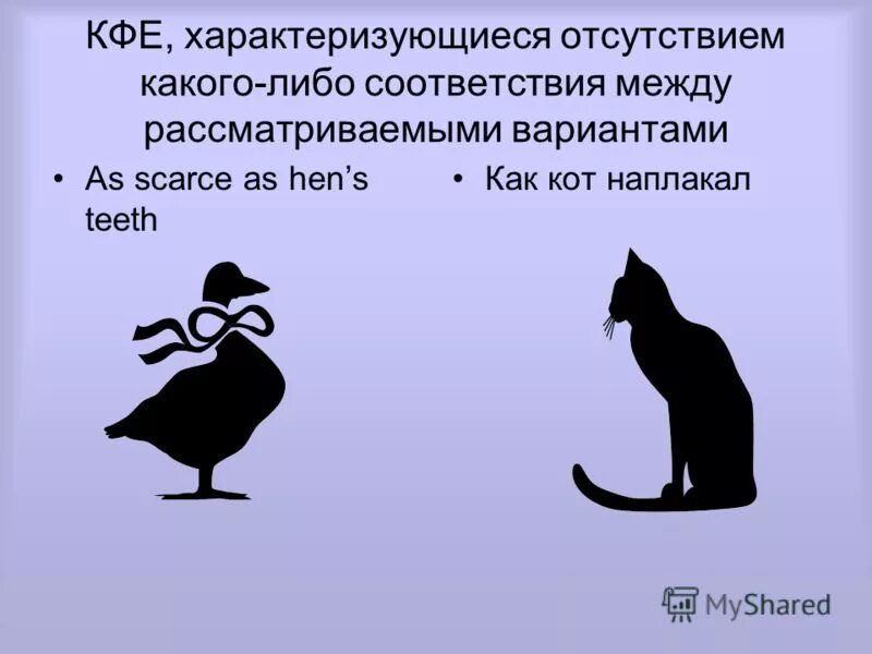 Русские зоонимы. Презентация зоонимы. Зоонимы в английском языке. Зоонимика. Зоонимика картинки.