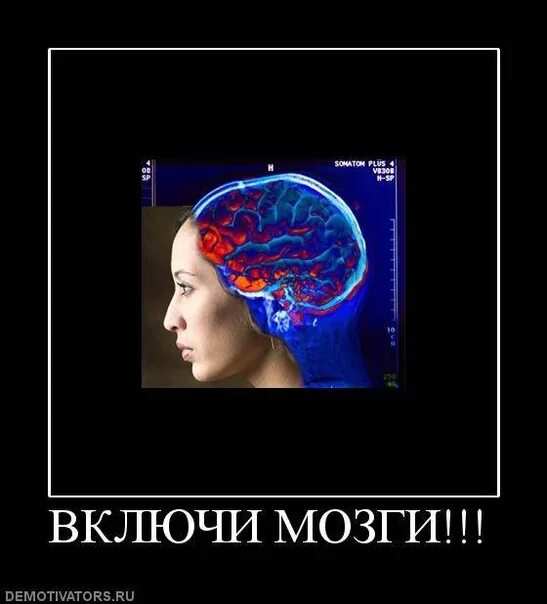 Включи хочется. Без мозгов. Женщина с мозгами.