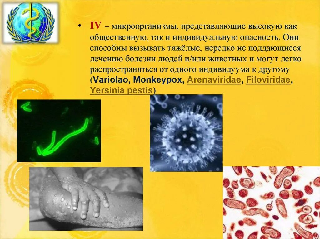 Три болезнетворные бактерии. Патогенные микроорганизмы относятся к группе. 4 Группы микроорганизмов. Микроорганизмы 3-4 группы патогенности. Микробы по патогенности.