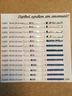 Перенос эмбрионов 5 дневок отзывы