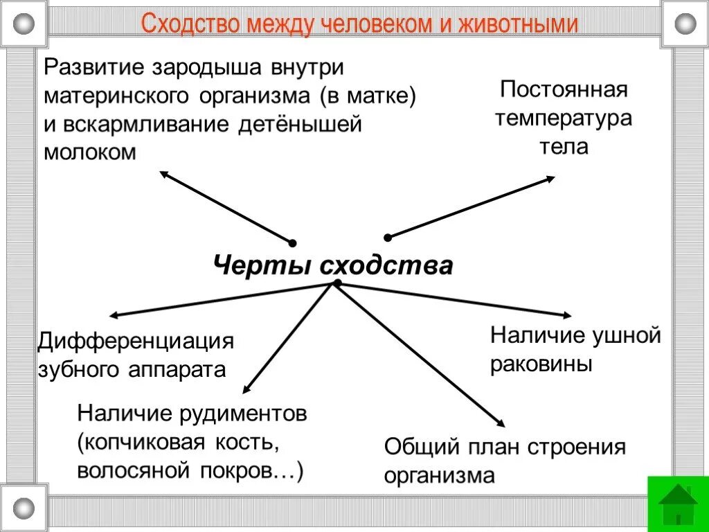 Что общего у всех людей