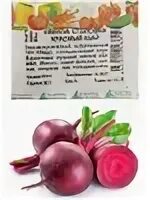 Семена сибири рассада