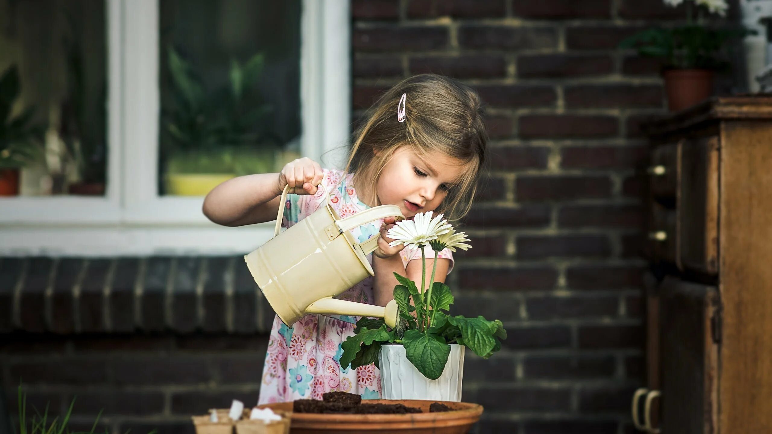 горшок каши. детский цветочек в горшке. дошкольник девочка на горшке. диарея у детей. горшочек каши фото.