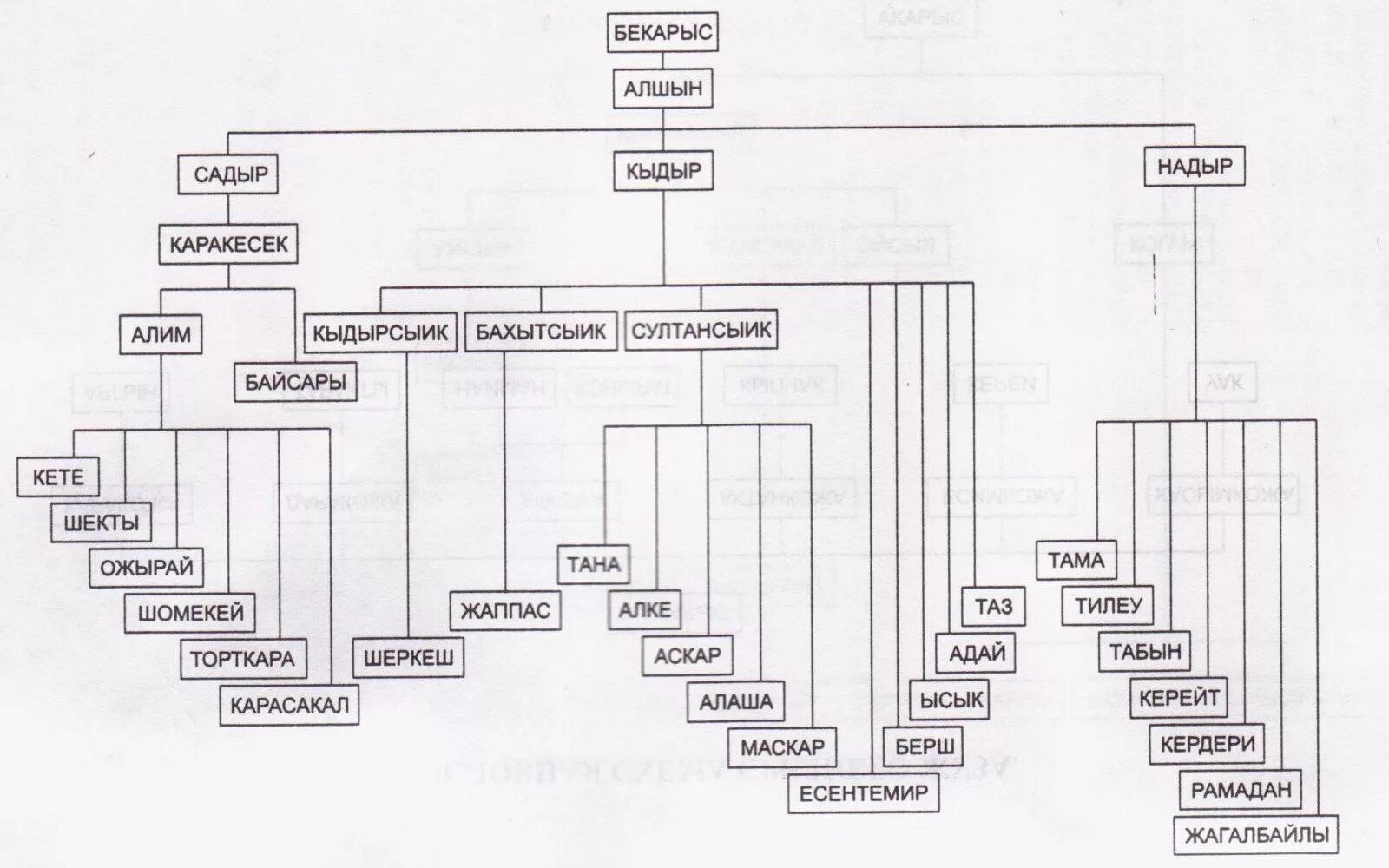 Кіші жүз ханы. Родословная казахов младшего жуза. Родословная казахов среднего жуза Найман. Казахский старший жуз схема. Младший жуз родословная.