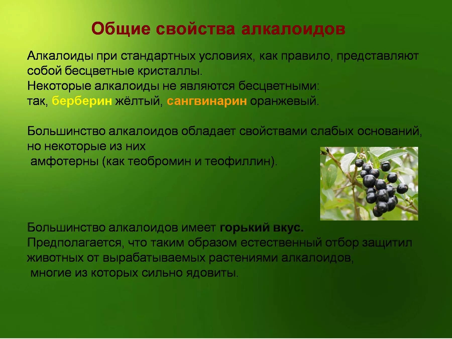 Основные свойства растения. Алкалоиды. Характеристика алкалоидов. Алкалоиды в растениях. Алкалоиды презентация.