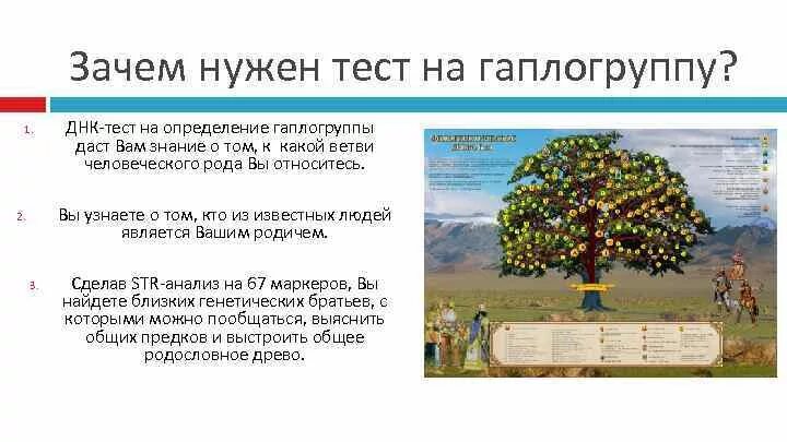 Днк тест на род. Генетический тест на родословную. Генетический тест на гаплогруппы. ДНК тест на генеалогическое Древо. ДНК тест на гаплогруппу.