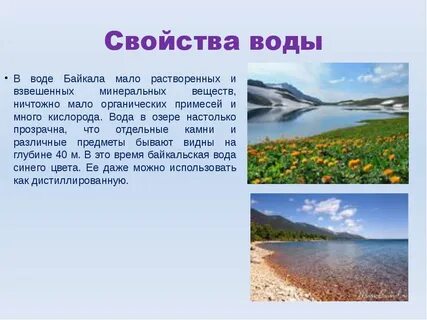 Озеро байкал проект 4 класс окружающий мир