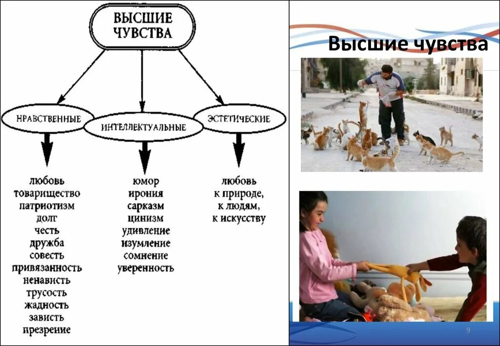 Высшие чувства. Высшие чувства человека. Высшие эмоции чувства. Виды высших чувств.