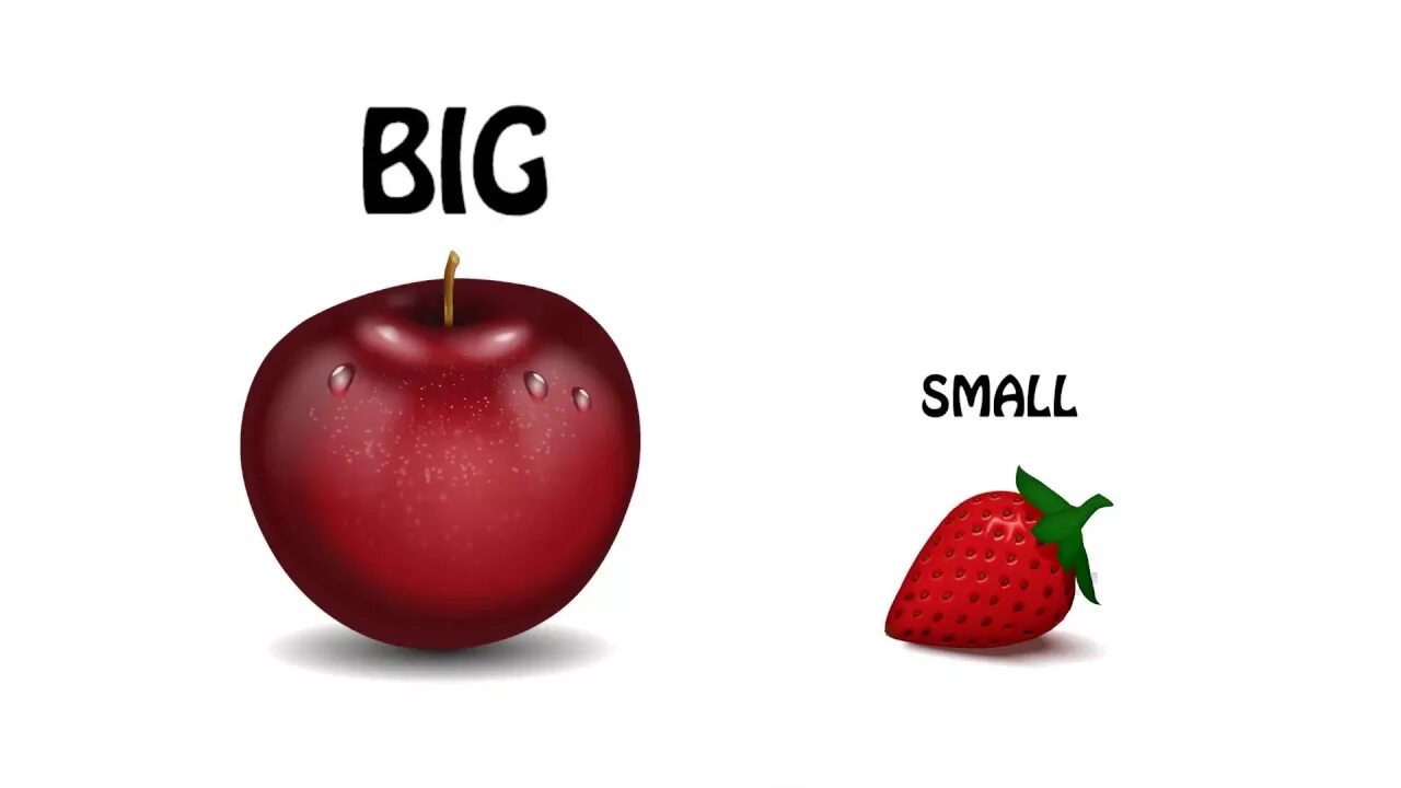 Big small. Картинки big small. Big small Flashcards. Big small для детей. Small по английски