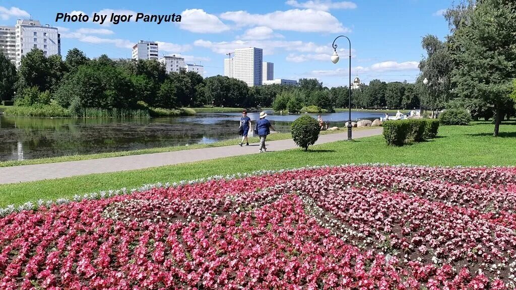 Ангарские пруды яблоневый сад. Ангарские пруды концерт. Ангарские пруды концерт. Парк ангарские пруды. Амфитеатр ангарские пруды.
