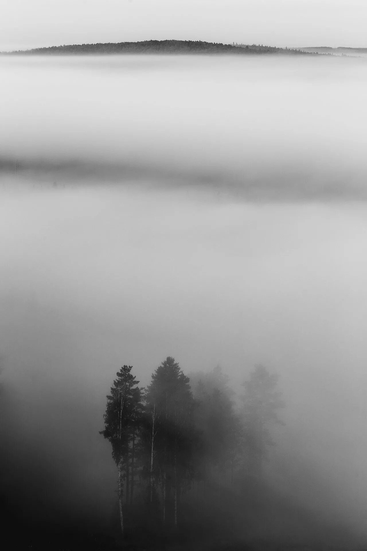Туман туман густая пелена. Мгла природа. Густой туман. Мгла туман. Поселок мгла.