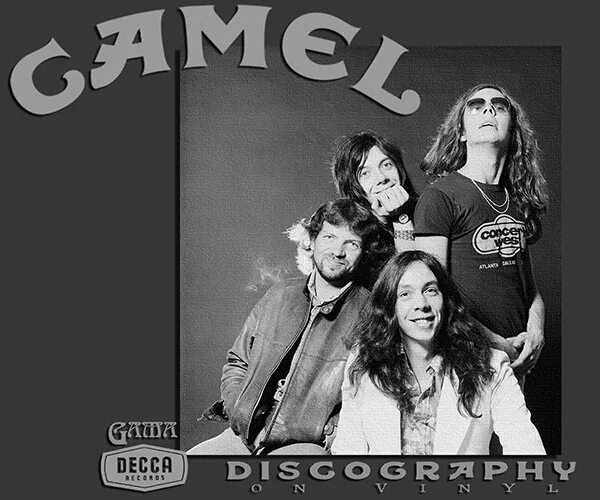 Camel group. Camel group