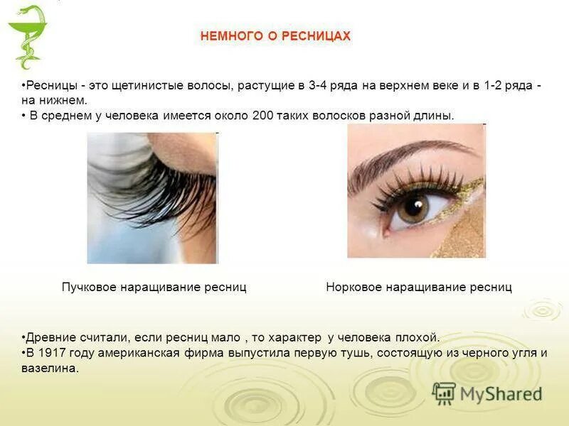 Сколько можно ходить с ресницами