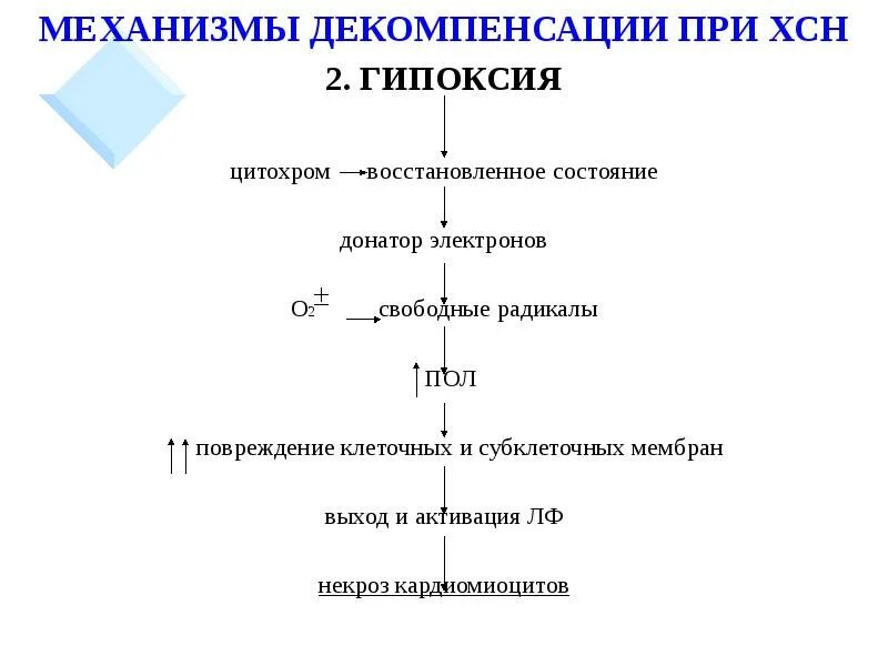 Декомпенсация хронической сердечной недостаточности. Механизмы декомпенсации сердечной недостаточности. Механизмы декомпенсации при сердечной недостаточности. Механизмы, составляющие основу гипоксического повреждения клеток.. Механизмы повреждения клеток при гипоксии.