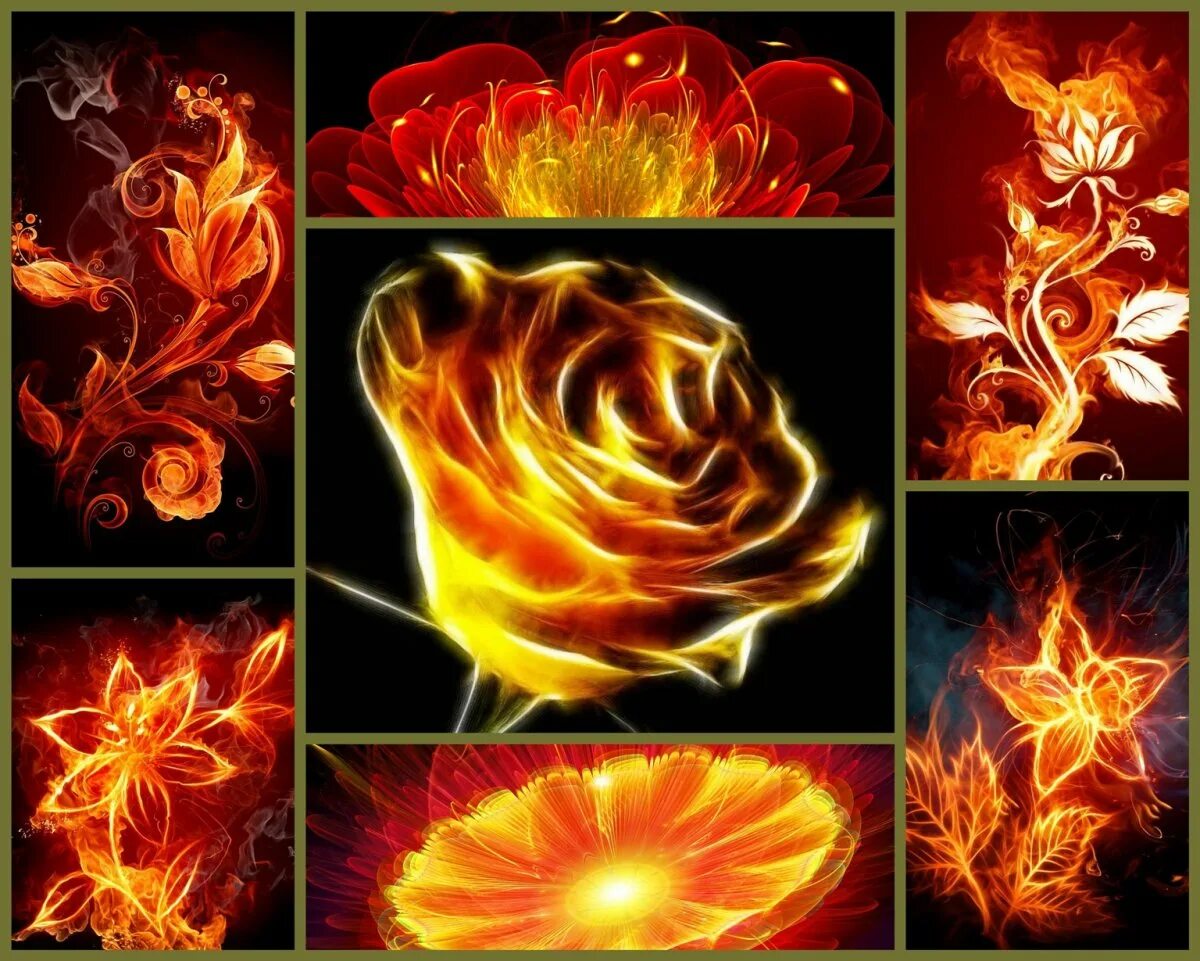Огненный цветок. Огненный цветок. Пламя подобно пылающему цветку. Пламя подобно пылающему цветку. Пламенный цветок.