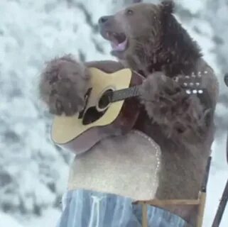 Включи песню медведи