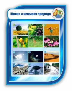 Вода живая или неживая природа 2