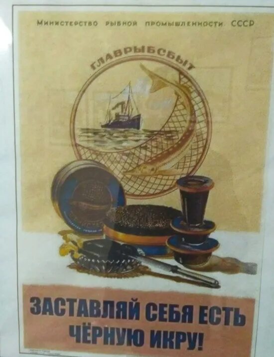 Есть черную икру плакат. Плакат про черную икру ссср. Советские плакаты про черную икру. Есть черную икру плакат. Советские рекламные плакаты.