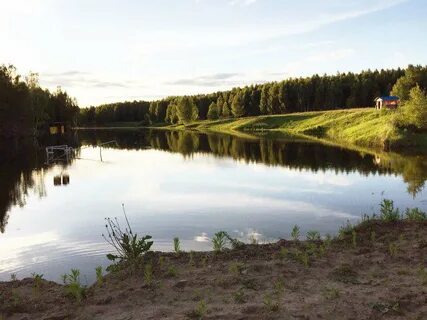 Коптево тульская область