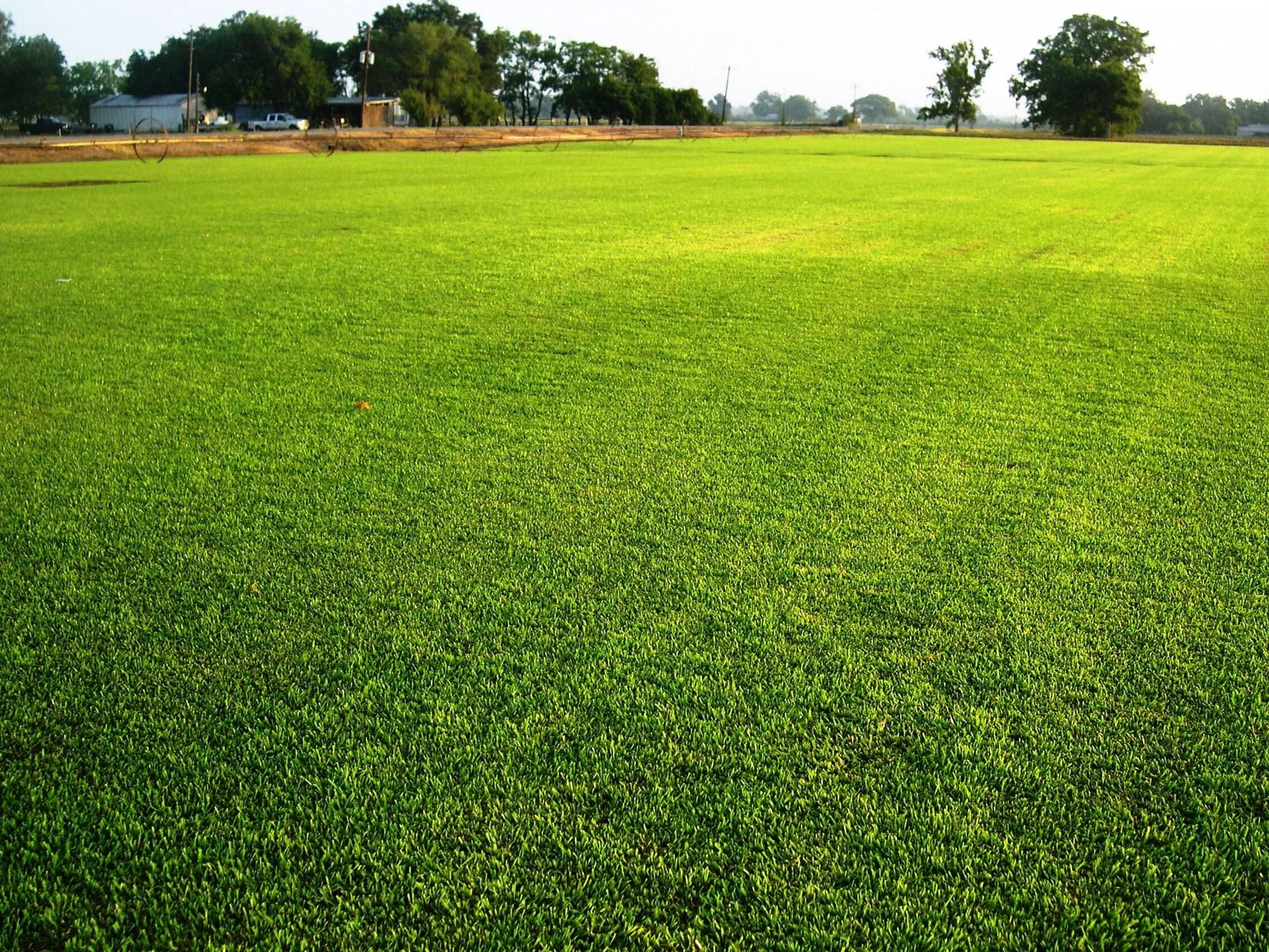 Small field