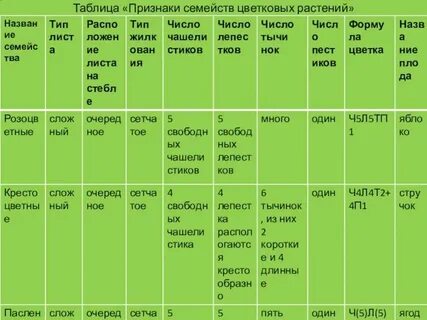 Признаки название семейств