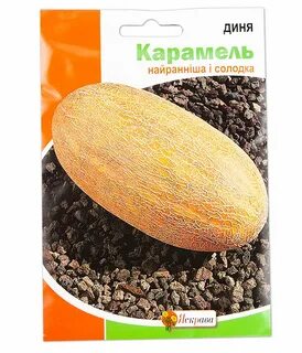 Фиалковая дыня