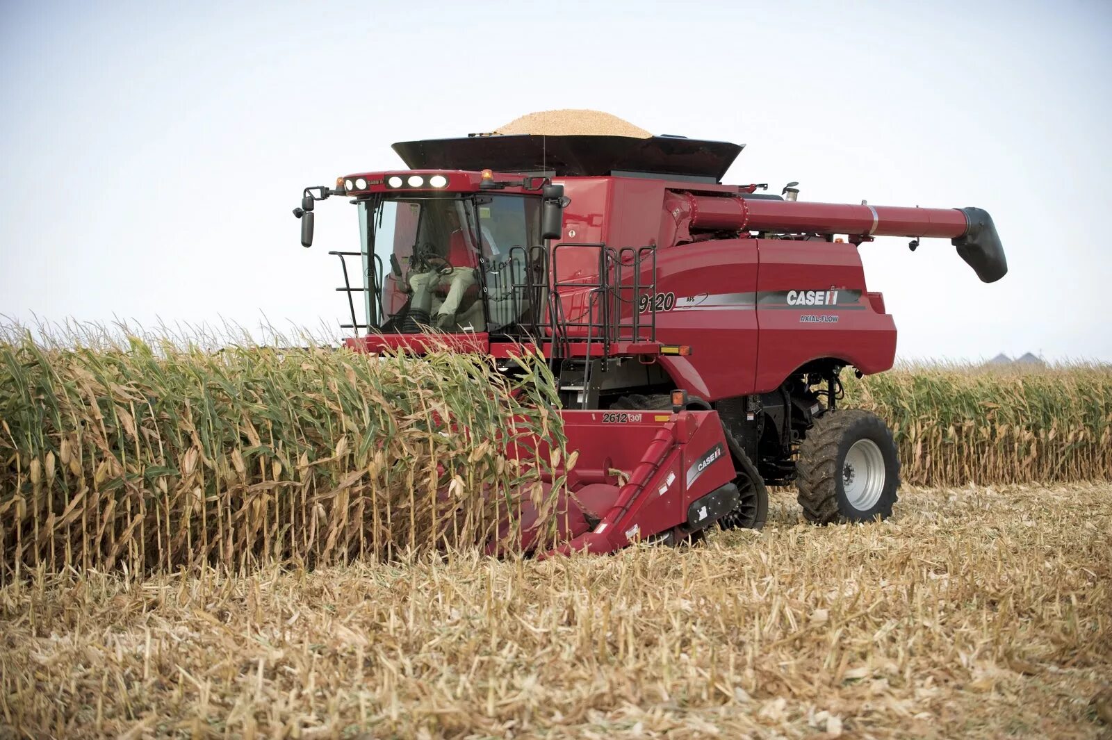 Ih plus