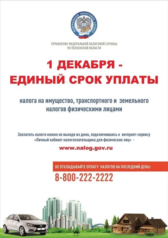 Срок уплаты земельного налога за 2025. Заплати налоги до 1 декабря. налог на имущество физических лиц. срок уплаты имущественных налогов в 2025 году физическими лицами. 1 декабря срок уплаты имущественных налогов 2025.