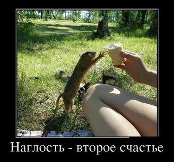 Читать второе счастье