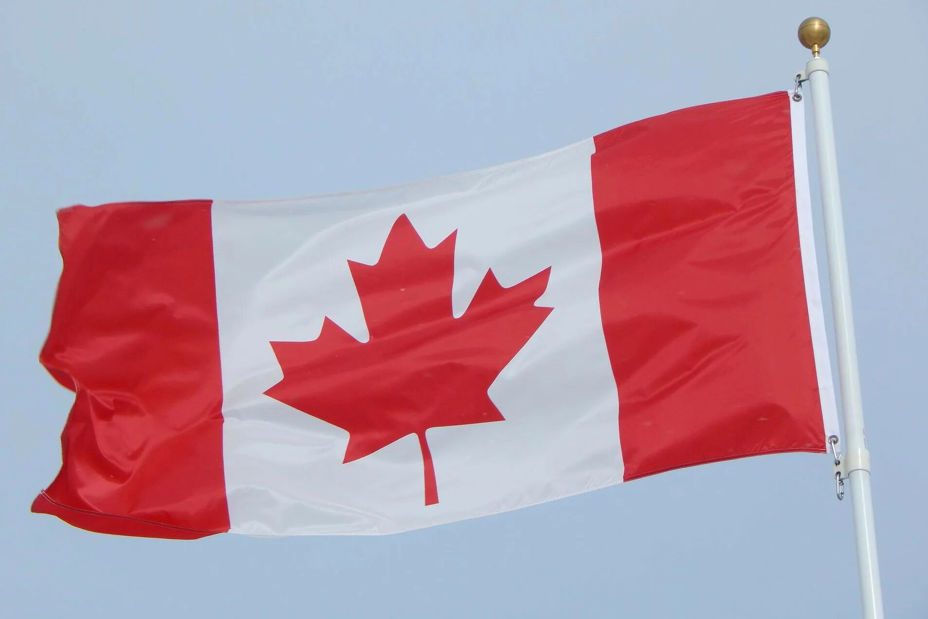 Каннада. Флаг Канада. Штандарт Канады. Канадский флаг. Флаг Канады фото.