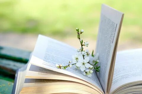 Весенние книги