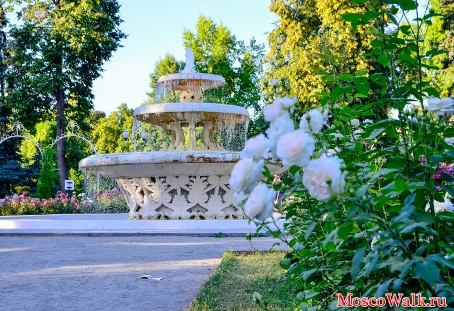 Парк культуры 1 мая. Парк Горького розарий с фонтаном. Парк Горького Москва розарий. Розарий с фонтаном в парке Горького. Фонтан в розарии парка Горького.